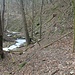 Tschernischken, Mühlgrabenende mit 1,5 m Höhenversatz zum Bach