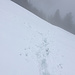 Finaler Steilhang vor dem Hittisberg-Gipfel. Mir war´s zu riskant...