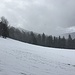 Schneefall am Bödeli.