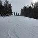 Aufstieg vom Bödeli durch die erste markante Schneise.