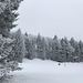 Winterlandschaft auf der Hochebene Montagne de Sorvilier