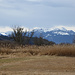 Nochmal der Blick Richtung Mangfallgebirge