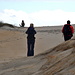 Les lions de mer se baladent même dans les dunes
