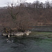 Kleines Inselchen im Rhein