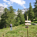 Im Lärchenwald oberhalb Alpe Veglia