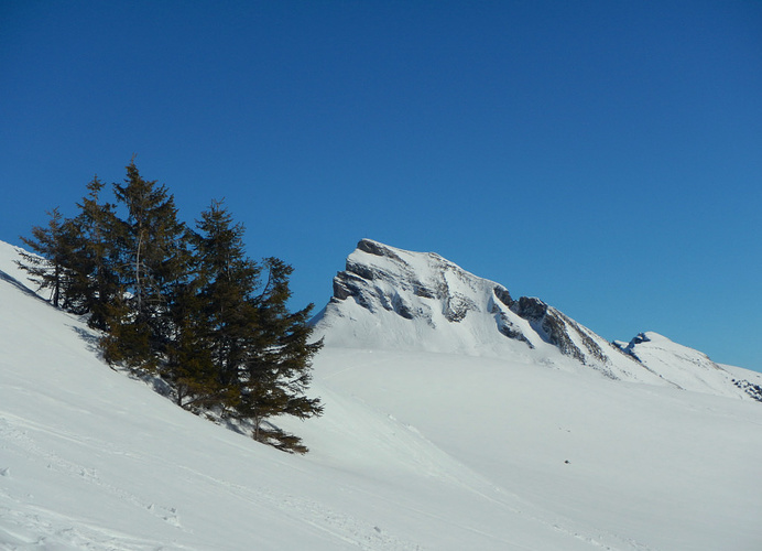 Die Damülser Mittagsspitze Fotos