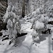 fortlaufend schönere Winterbilder ...
