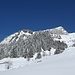 Die Schneise rechterhand führt zur Alp Mutteli hoch.