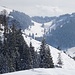 Brünnsteinschanze und Seelacheralm. Im Fernglas: schöne Skispuren