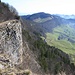 der höchste Punkt vom Vogelberg: der bewaldete Gupf links im Bild