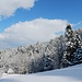 Winteridylle auf Alp 2
