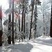 ... zum Grenzkamm Oberaargau-Emmental