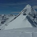 Blick vom Gipfel zur Königspitze
