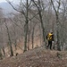 Lungo la dorsale di collegamento tra i monti San Martino e Colonna: nessun sentiero o traccia di passaggio, ma relativamente agevole.