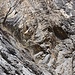 MSL-Route beim letzten Standplatz