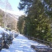 Nach einigen Minuten auf Asphalt geht es los auf Schnee