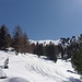 Oberhalb der Arztaler Hütte durch lichten Wald