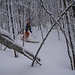 Für einen Steirer ist Skifahren im Wald kein Problem.