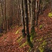 In zahlreichen Zickzacks gehts ins Tal der Lützel runter.