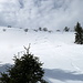 meine "Line" - ein traumhafter Skiberg, wenn auch der Schnee heute "dank" des Sturms nicht immer zum Besten war...
