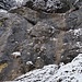 Der kleine Klettergarten unterhalb des Gimpelhauses. Die Nässe hätte mich nicht gestört (griffig ist der Fels)...