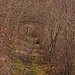 Appalachian Trail?