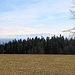 Auf dem Hagen mit Blick zum Säntis