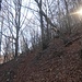 Into the wild