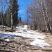 A quota 1000 metri circa la prima neve....