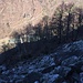 Tra gli alberi i ruderi di Marlogno, che visiteremo al ritorno.