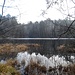 Der Rösselsweiher, der malerisch in einem Naturschutzgebiet gelegen ist.