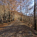 strada forestale