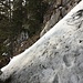 Schneefeld am Steinbock Quergang