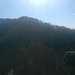 Il Monte Nudo e la sua pineta, panoramica dalla cima (senza nome) quotata 1102 mt.