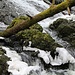 Bobří soutěska, Wasserfall des Bieberbaches, Basalt
