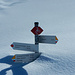 Ein Wegweiser versinkt im Schnee
