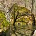 Gütersteiner Wasserfall V