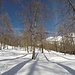<b>Località Larici.</b>