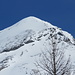 Hubschhorn
