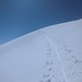 Seguo la traccia degli scialpinisti 