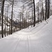 <b>In discesa verso Pradasca.</b>