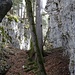 Alles dem Canyon folgen. Bei Verzweigungen im Zweifelsfall die linke Variante (im Sinne des Aufstiegs) nehmen.