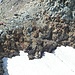 le roccette alla fine del ghiacciaio, poco sotto la sella