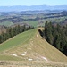 ... und die Aussicht zum Jura geniessen;<br />in der Verlängerung der Krete das Balmfluechöpfli