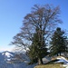 Beginn der Kammwanderung auf dem Süessegg Südgipfel