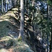 gefällige Waldpassage vor P. 1217