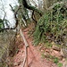 An seinem westlichsten Ende wendet sich der Kletterweg in steilen Serpentinen bergan.