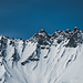 Wildseehörner