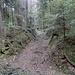 Wegkreuz im Brameggwald