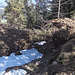 Umgestürzte Bäume blockieren den Weg nach Marbach